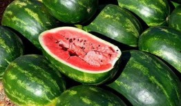 网红吃瓜免费入口下载,下载攻略大公开